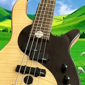 E-Gitarre in Premium-Qualität – verschiedene Stile, individuell anpassbar